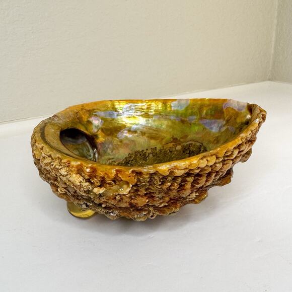 Vintage Abalone Shell Trinket Dish Smudge Bowl Footed‎ - Picture 1 of 12